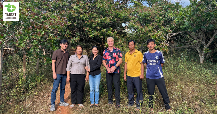 From Poverty Alleviation Tree to Global Export: How Vietnamese Cashew Nuts Made History