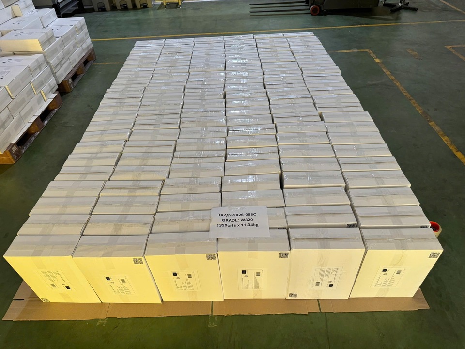 Why Cashew Buyers Choose Target Agriculture — Beyond Price, Beyond Quality