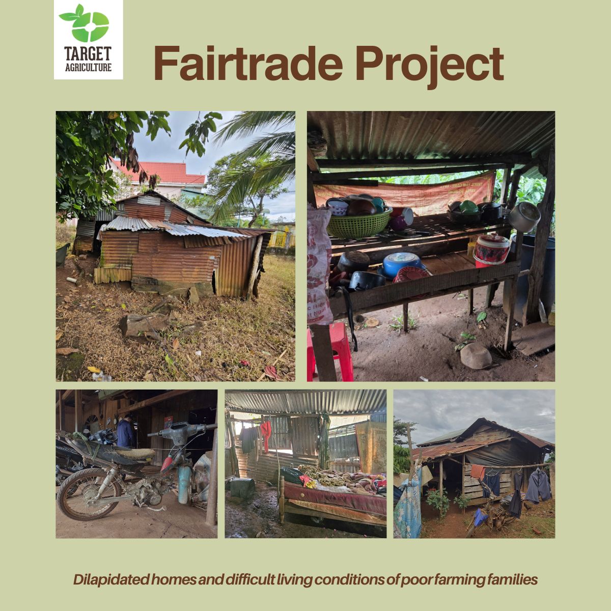 Fairtrade in Action: How Target Agriculture Builds Homes for Cashew Farmers