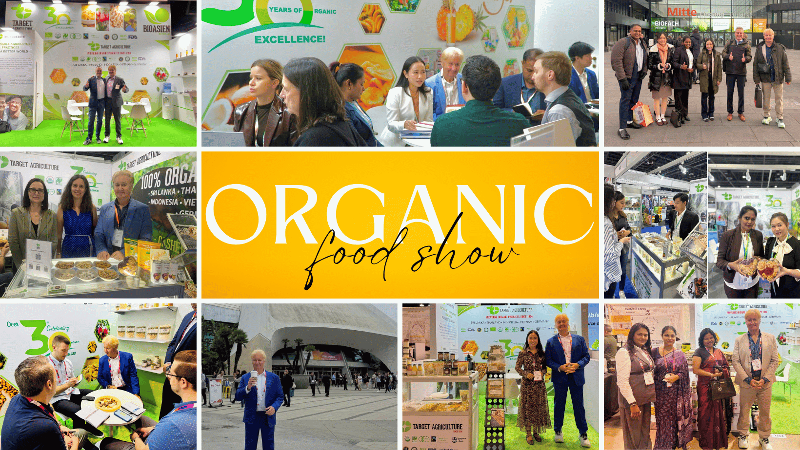 Inside Target Agriculture's Certificated Organic Cashew Factory in Vietnam