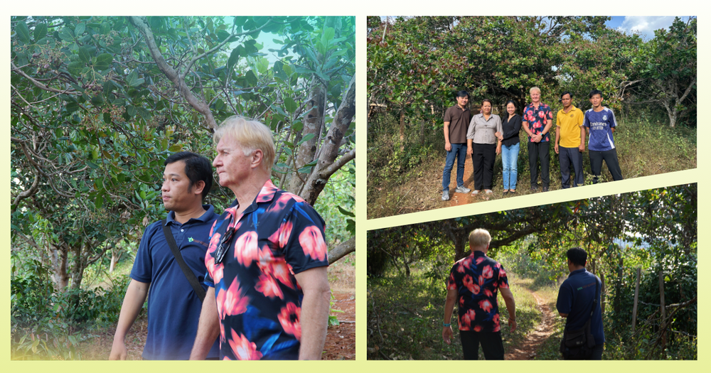 Target Agriculture: Vietnam's Certified Organic Cashew Exporter Since 1994