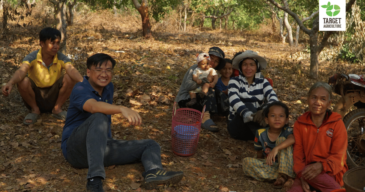 Cashew Farming Vietnam: A Lifeline Built on Organic Trade
