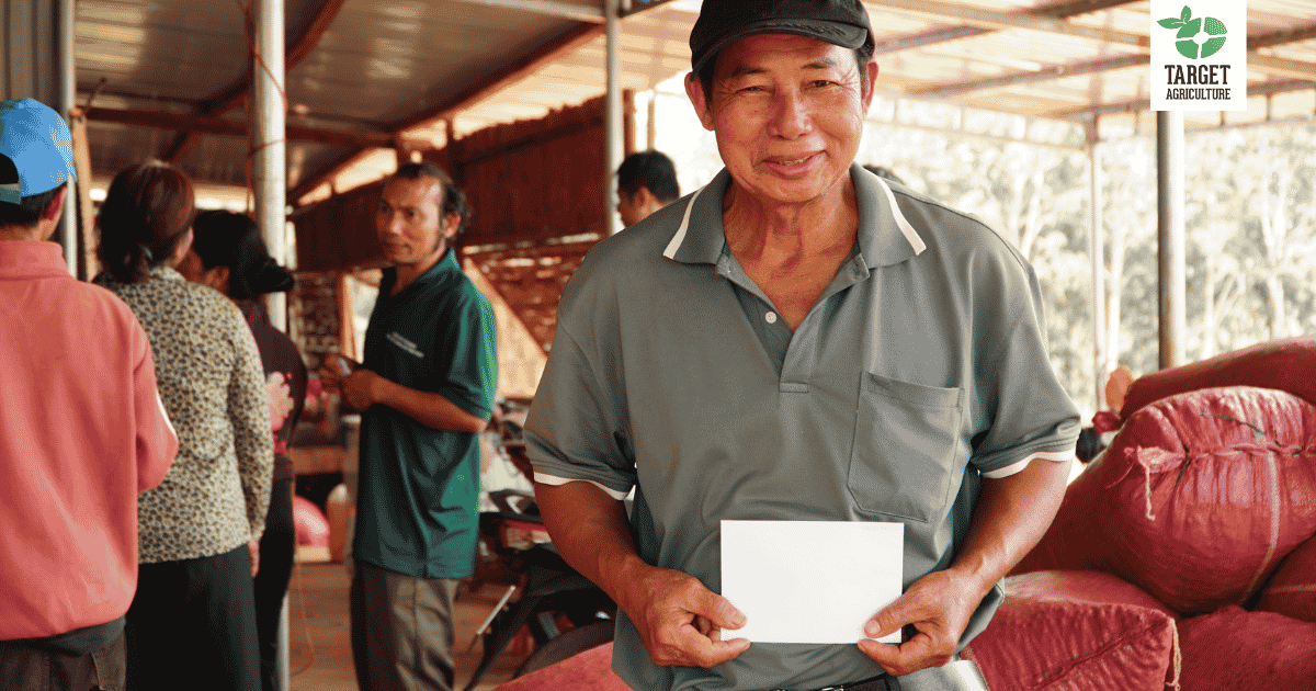 Cashew Farming Vietnam: A Lifeline Built on Organic Trade