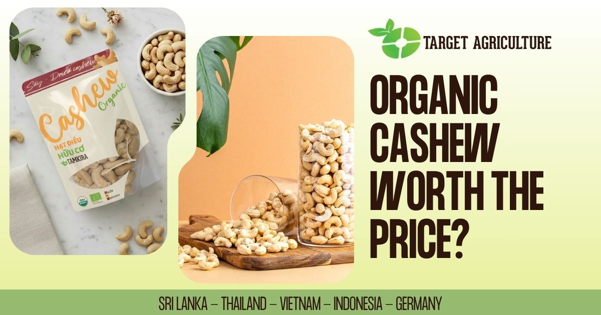 Organic vs Conventional Cashews: What Buyers Need to Know