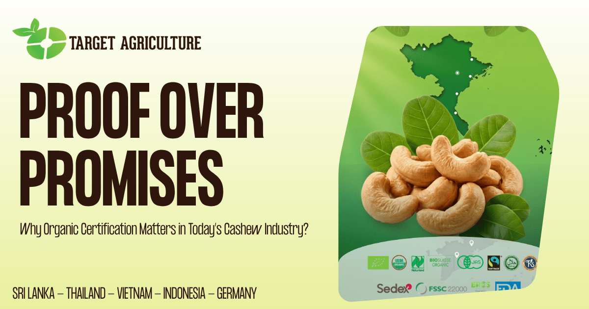Certified Organic Cashew Supplier Vietnam: Why It Matters Now