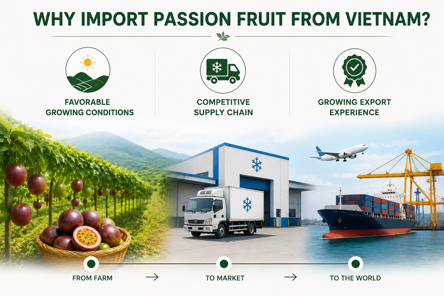 How to Import Passion Fruit from Vietnam: A Step-by-Step Guide