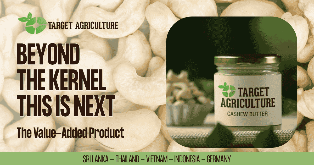 Organic Cashew Butter: The Value-Added Product Most Buyers Are Still Missing