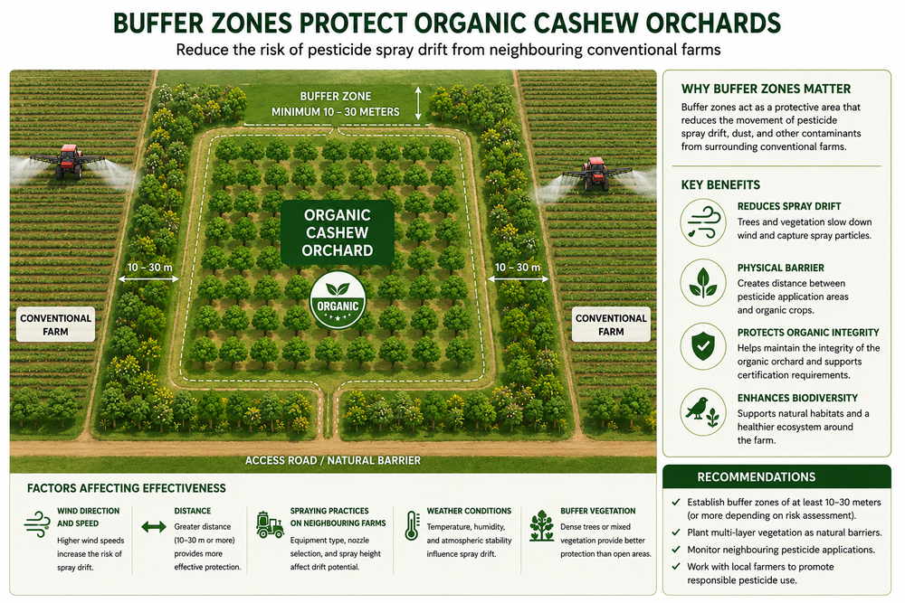 Potential Sources of Pesticide Cross-Contamination in Organic Cashews
