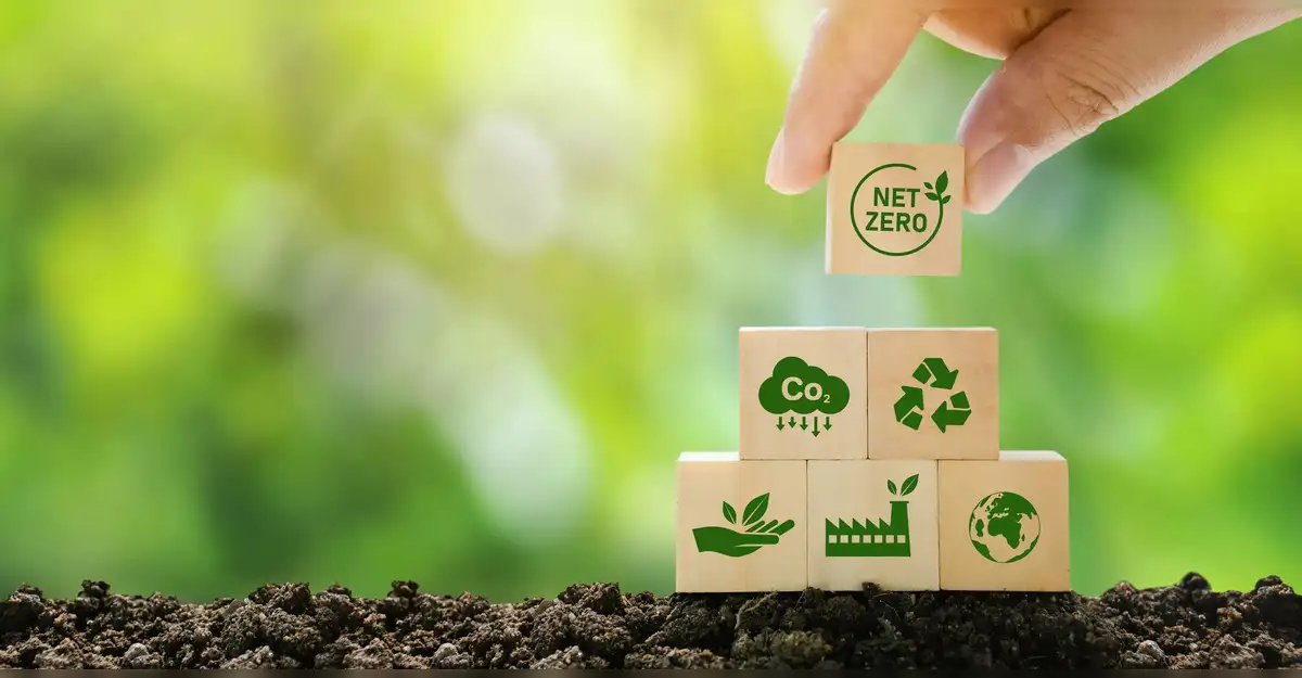 Safe Packaging for Organic Cashews: Ahead of EU 2027 Standards