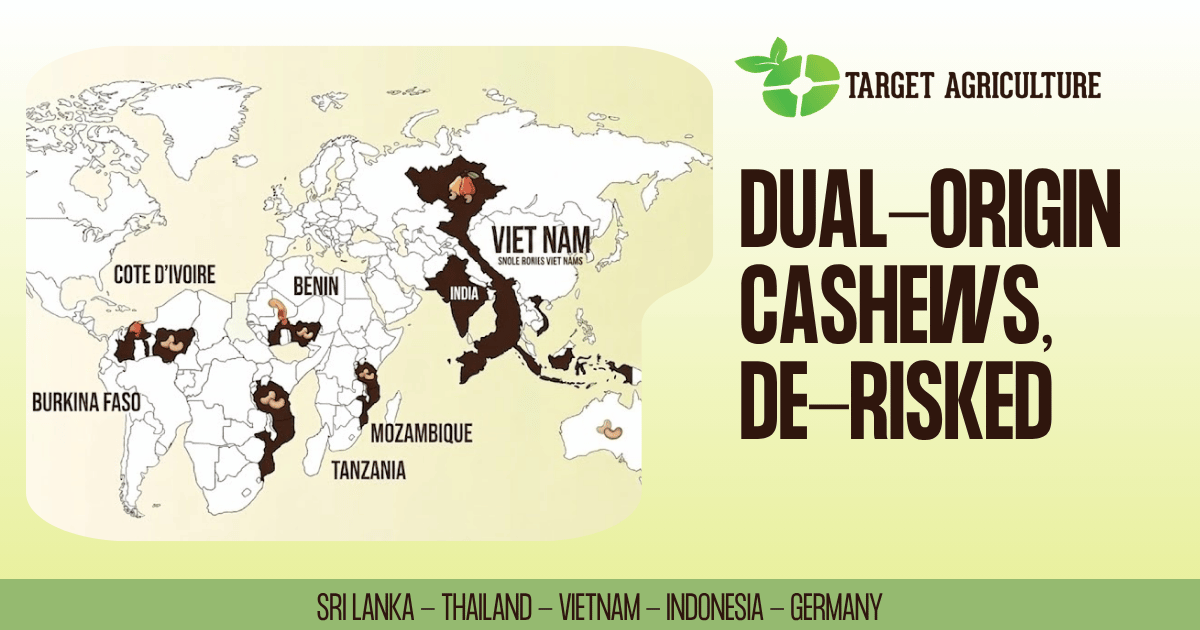 Target Agriculture: Why Multi-Origin Cashew Sourcing Cuts Risk