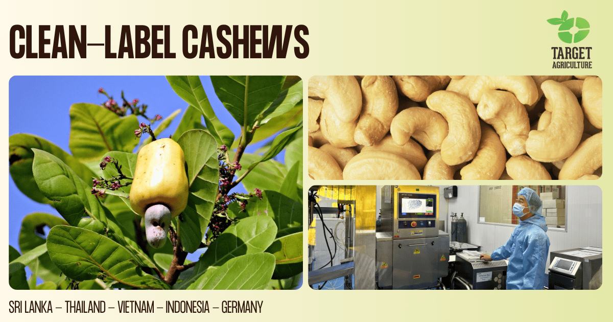 Certified Organic Cashew Supplier: Foreign Body & Allergen Control