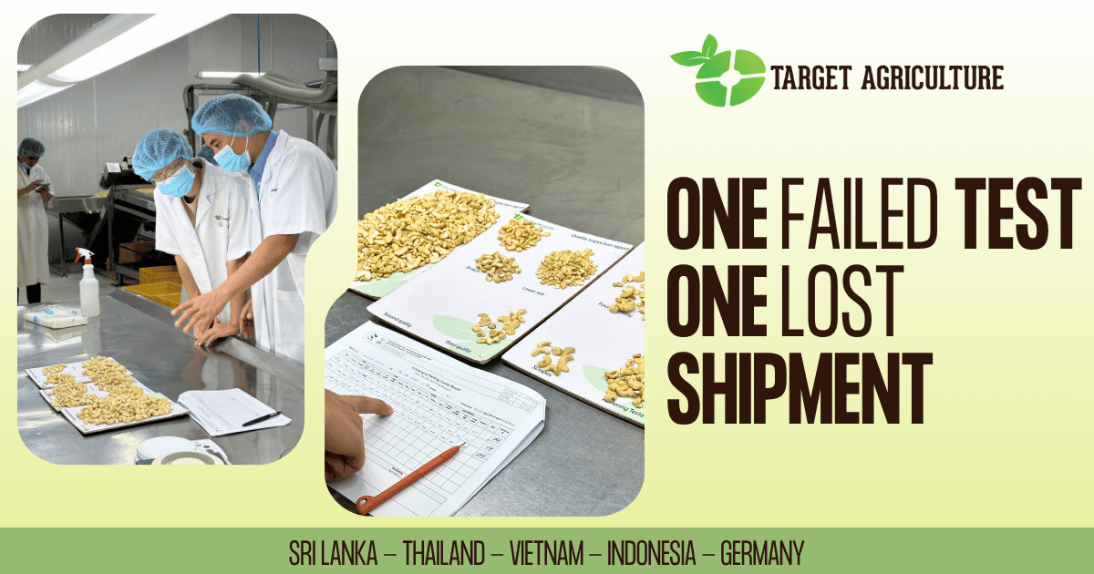 EU Compliance Testing: What an Organic Cashew Exporter Vietnam Needs