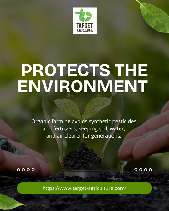 Happy Organic Day: How Target Agriculture Group Champions Nature