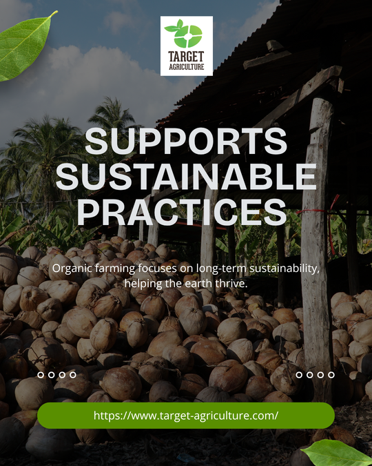 Happy Organic Day: How Target Agriculture Group Champions Nature