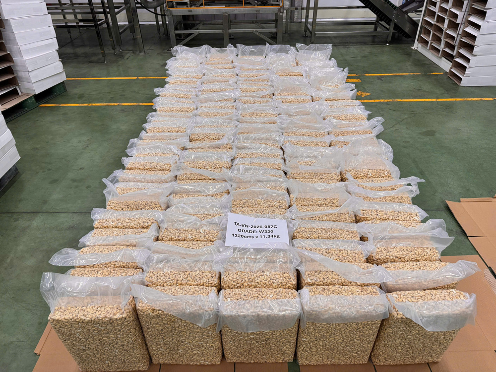 Organic Cashew OEM Vietnam: Custom Private Label Solutions for B2B