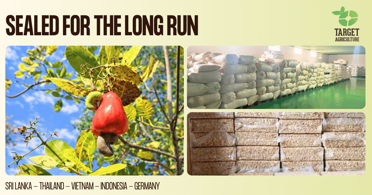 Target Agriculture: Cashew Nut Shelf Life Guide, Backed by Research