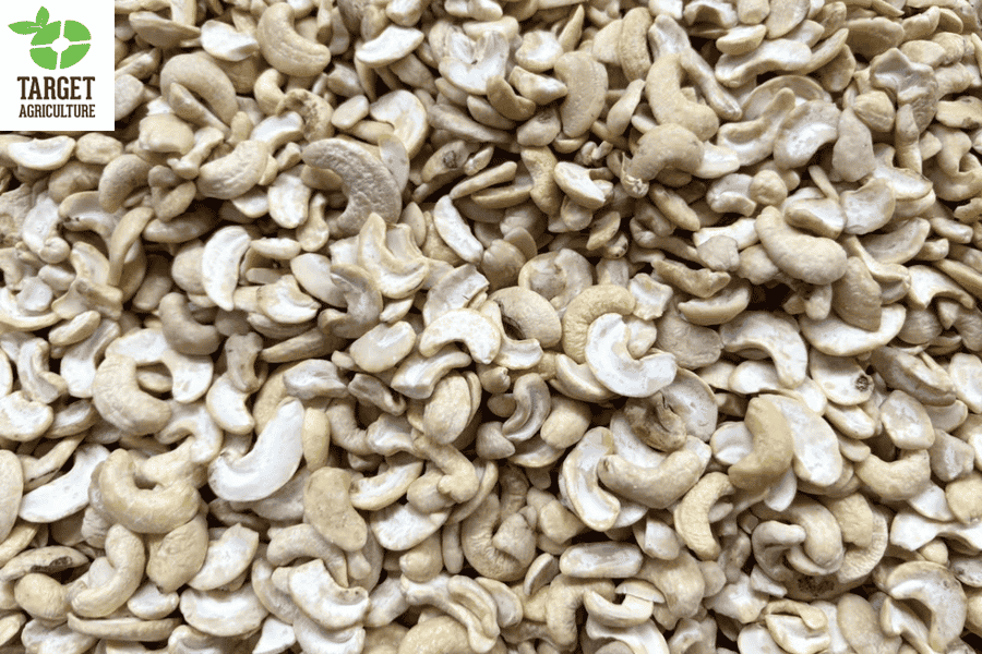 Organic Cashew Kernels for Plant-Based Dairy