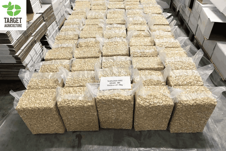Organic Cashew Kernels for Plant-Based Dairy
