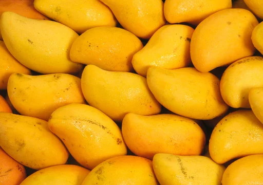What Makes Organic Dried Mango Different? A Buyer’s Guide