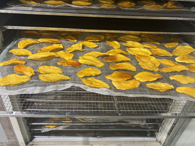 What Makes Organic Dried Mango Different? A Buyer’s Guide