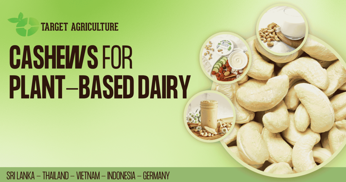 Organic Cashew Kernels for Plant-Based Dairy
